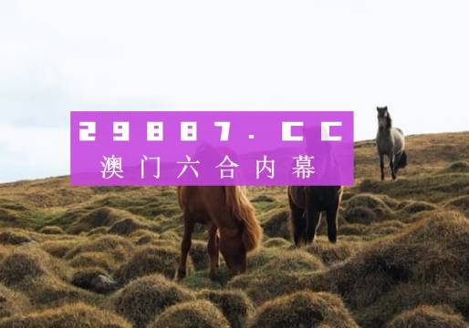 澳门4949开奖现场直播+开,澳门4949开奖现场直播，揭开神秘面纱，体验开奖瞬间的激动